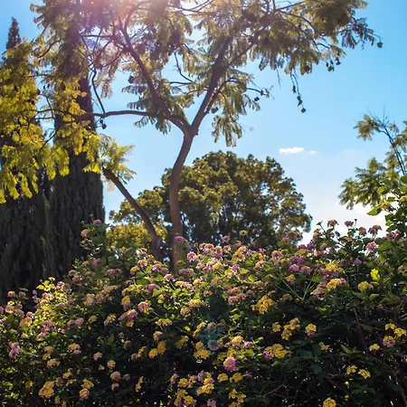 公寓 Casa Ameena 埃斯特波纳